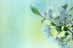 April Showers Background