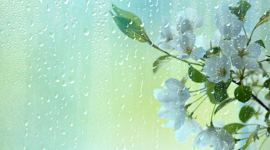 April Showers